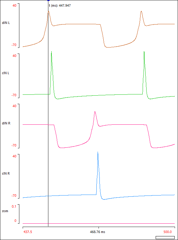 tadpole swimming results